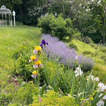 La Soledad Lavender Farm And Guesthouse Harper's Ferry Esterno foto
