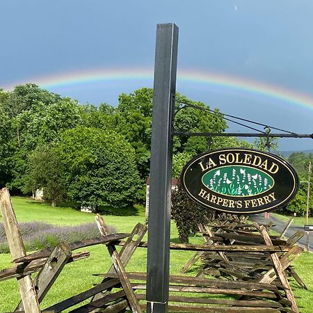 La Soledad Lavender Farm And Guesthouse Harper's Ferry Esterno foto