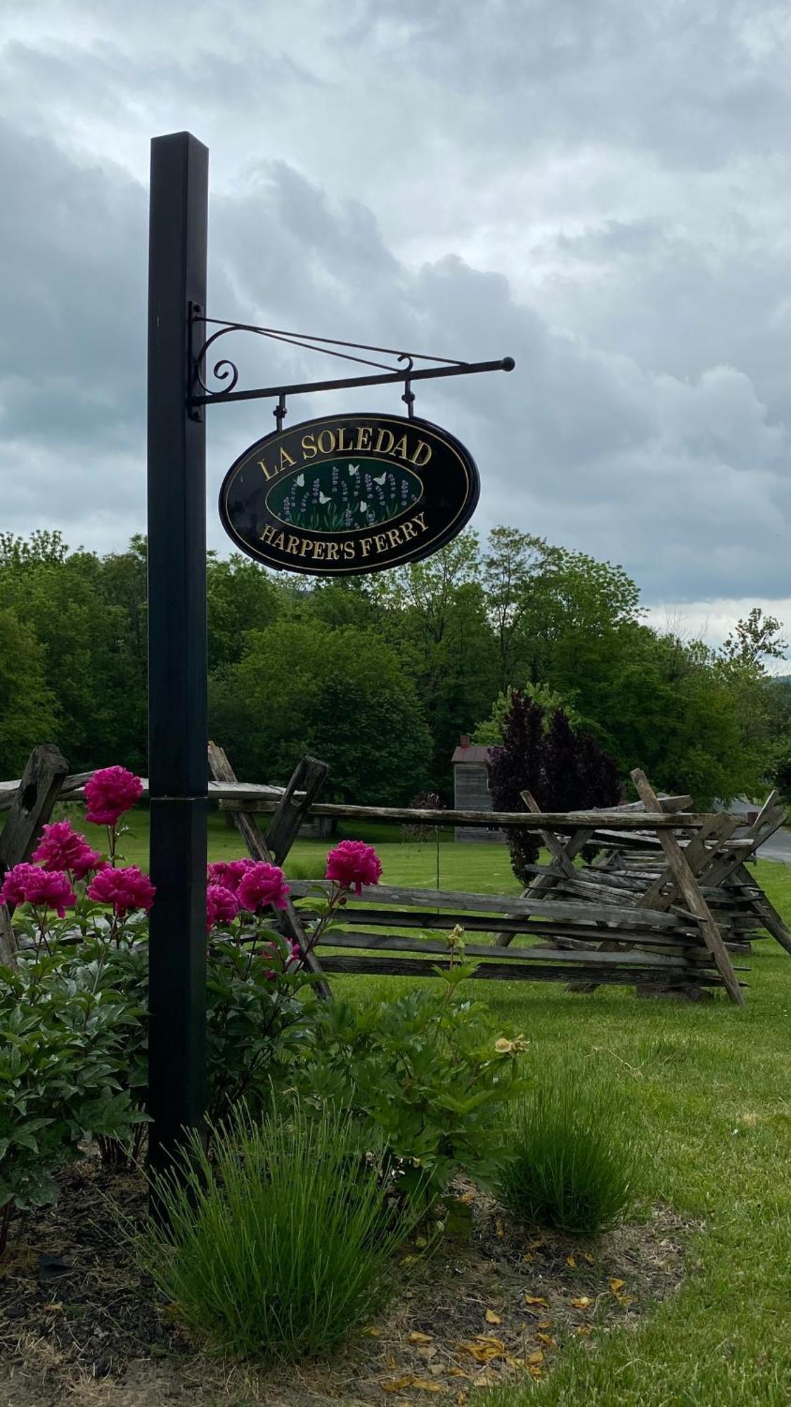 La Soledad Lavender Farm And Guesthouse Harper's Ferry Esterno foto