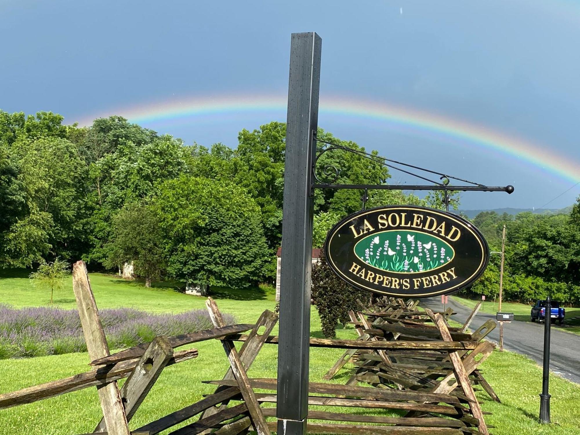 La Soledad Lavender Farm And Guesthouse Harper's Ferry Esterno foto